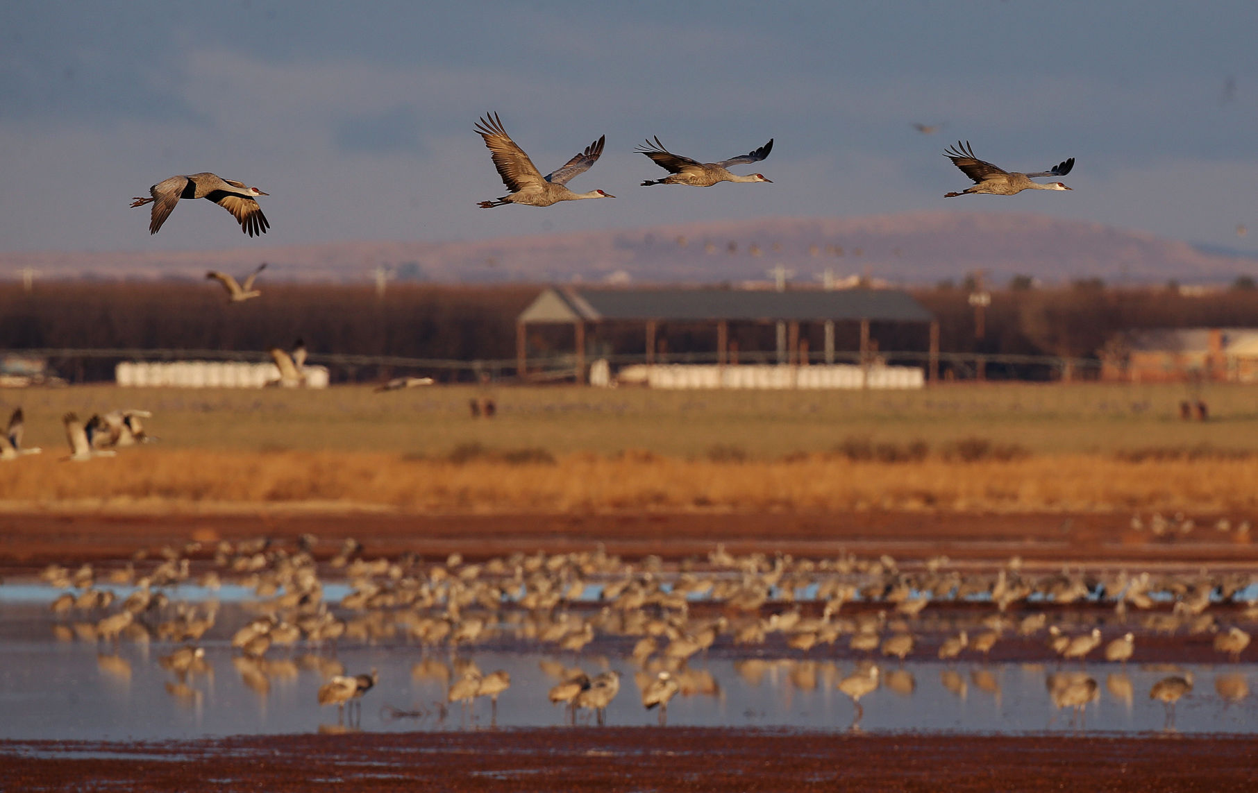 2018 Wings over Willcox